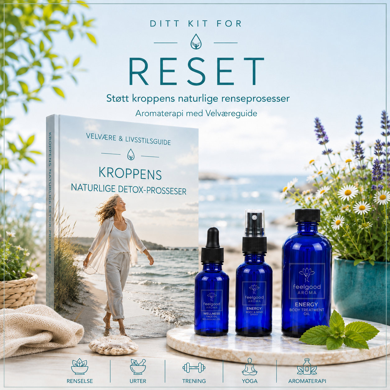RESET
