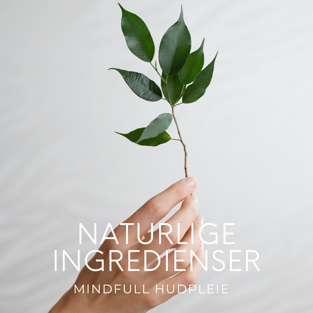 E-BØKER & HUDGUIDER