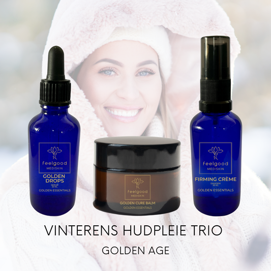 VINTER HUDENS TRIO