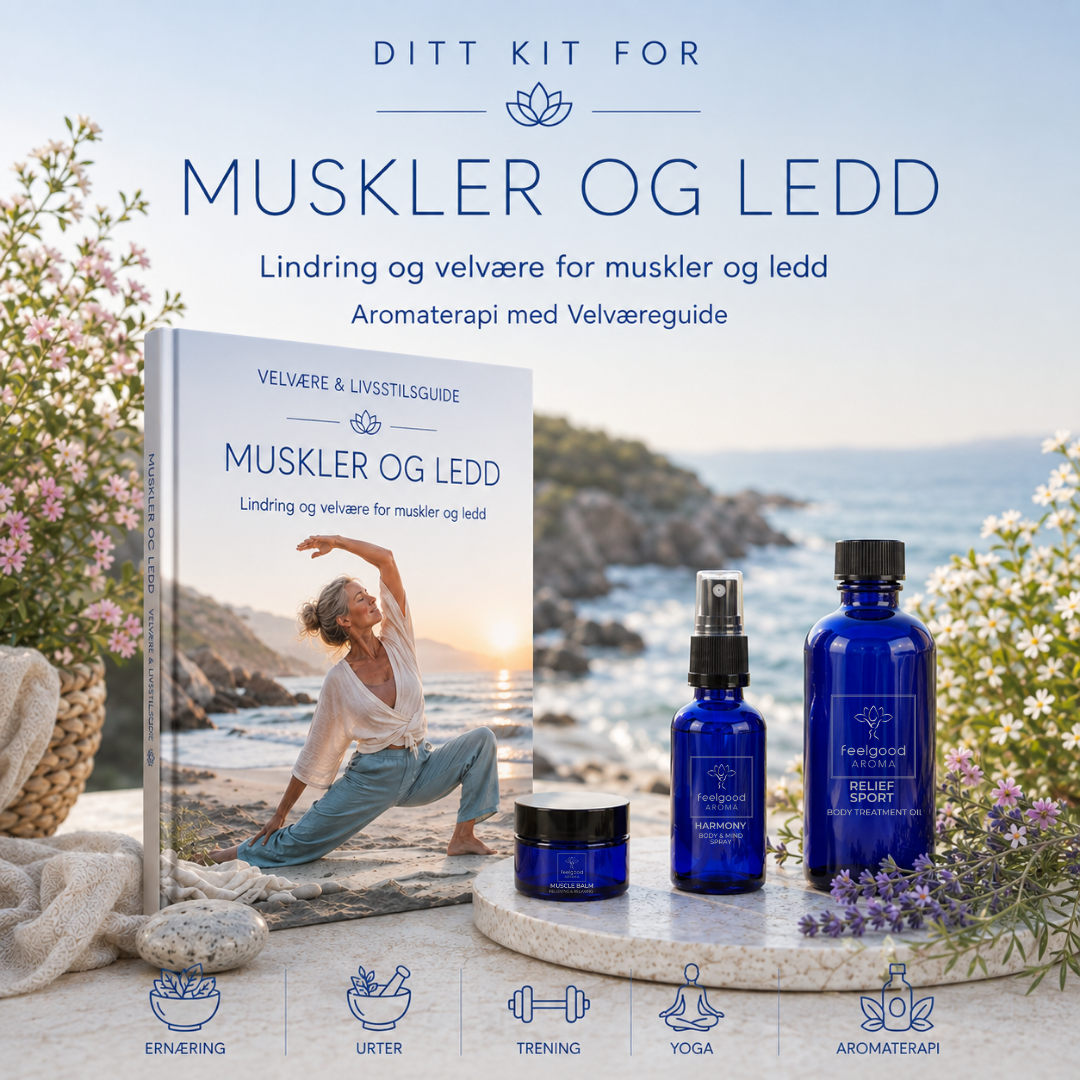 Muskel & Ledd support